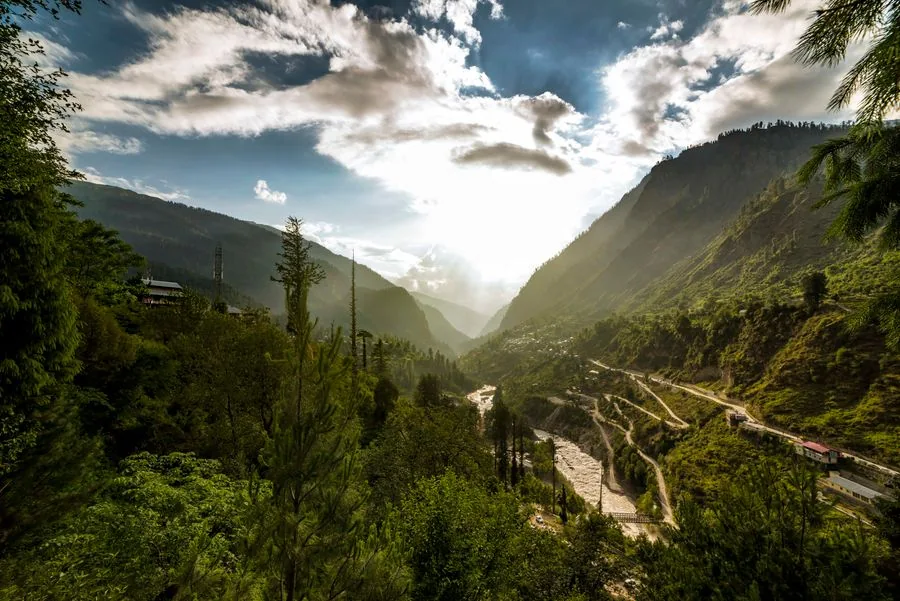 The Parvati river flowing past pine forests near Kasol