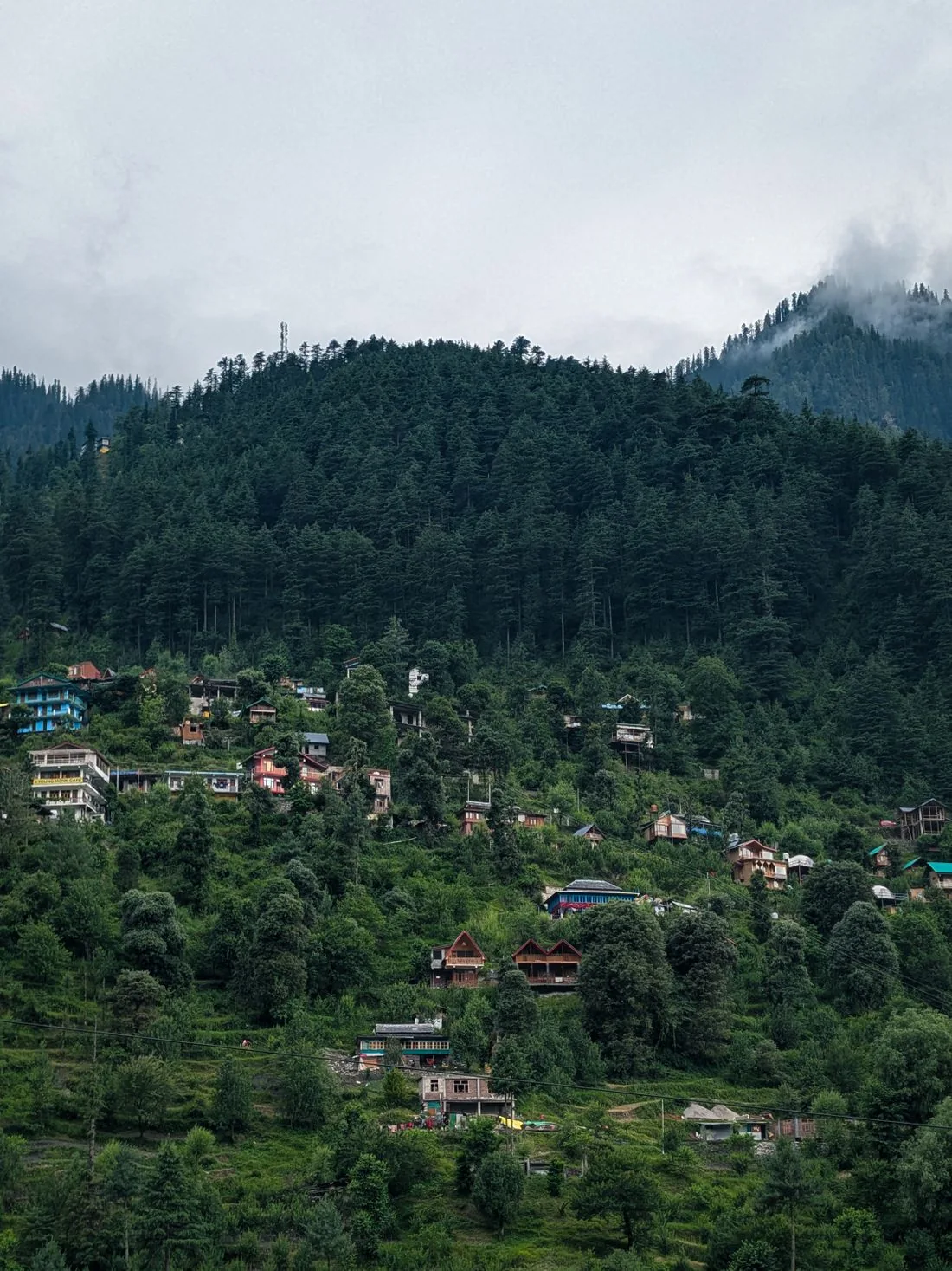 Wooden homes and pine forests in the Tirthan Valley of Himachal Pradesh